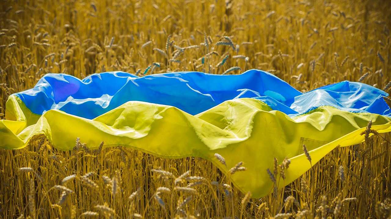 Grano, l’export europeo è aumentato del 35%: “merito” della guerra in Ucraina