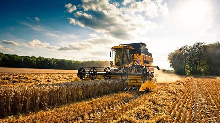 Il piano per salvare l’agricoltura europea (che scontenta quasi tutti)