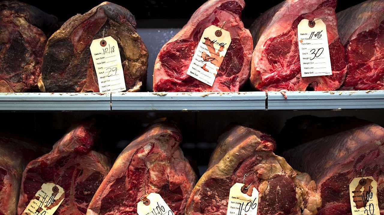 Caserta, blitz in un macello abusivo: sequestrati 300 kg di carne
