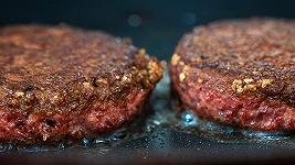 Si può proibire il termine “bistecca vegetariana”? La Francia non lo sa
