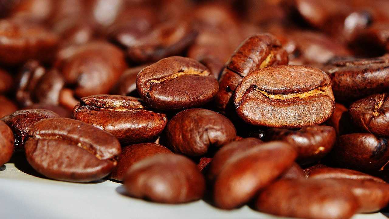Caffè, le esportazioni dall’Uganda sono calate del 14%: è colpa della siccità