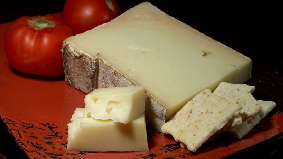 fontina formaggio