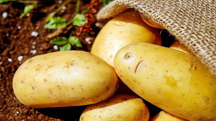 Patate: la siccità riduce i raccolti in Europa