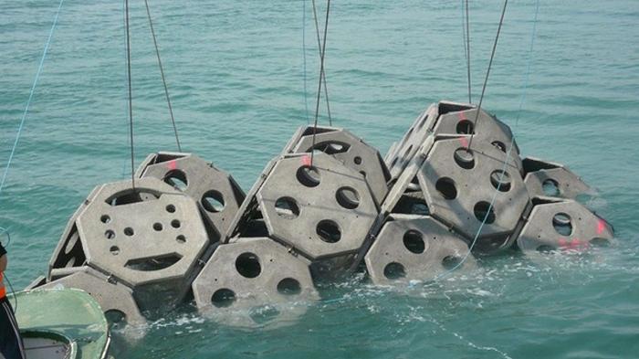Cagliari, il Comune approva l’installazione dei dissuasori per la pesca a strascico