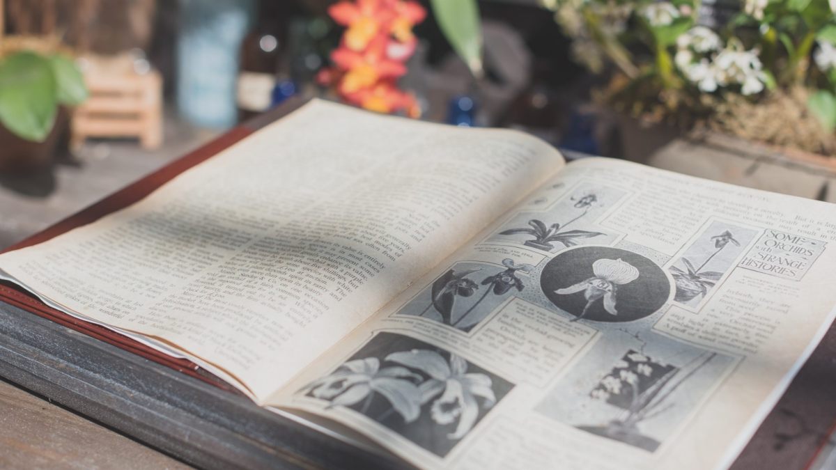 libro-erboristeria