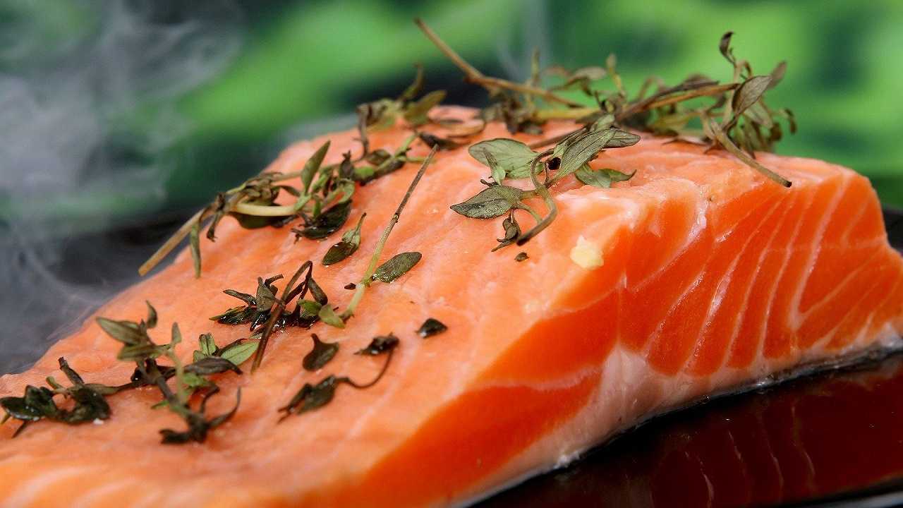 Salmone, tonno e sardine: secondo uno studio il loro consumo mantiene il cervello sano nella mezza età