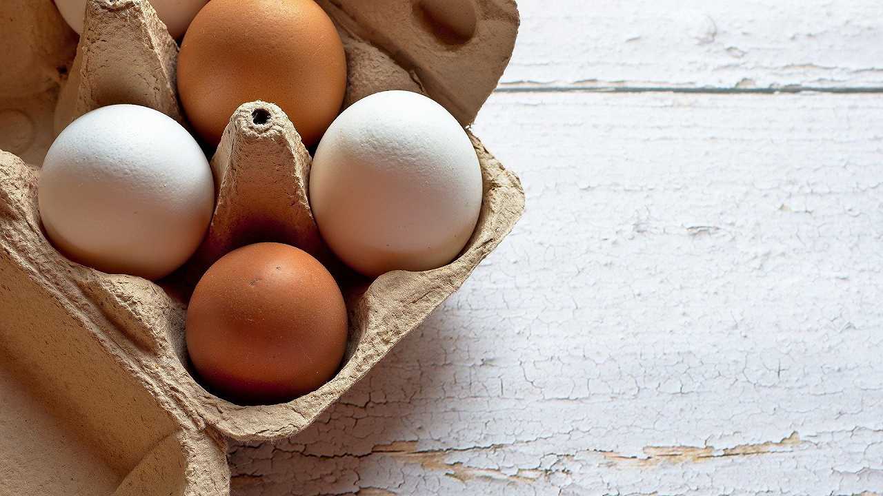 Influenza aviaria, raddoppiato il prezzo delle uova: le aziende alimentari cambiano le ricette
