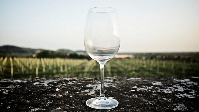Vino naturale: il New York Times mette in discussione il mito enologico contemporaneo