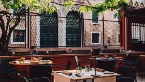 wisteria venezia 8
