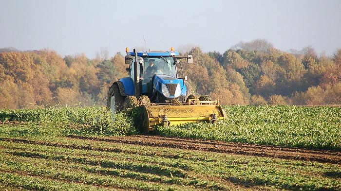 Re Carlo ha commissionato un rapporto sull’insostenibilità dell’agricoltura