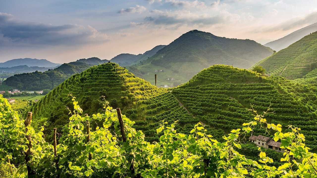 Cosa sono le Rive di Valdobbiadene