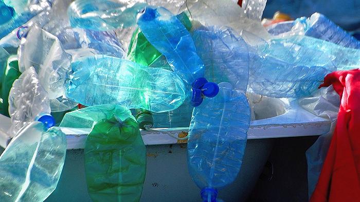 Pesca: tra 30 anni ci sarà più plastica che pesci, svela il WWF