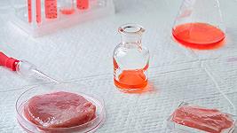 Usa: la carne da laboratorio autorizzata per la prima volta