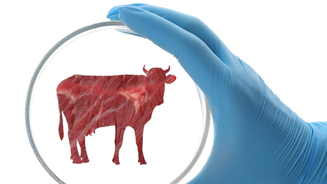 Perché non parleremo più di “carne sintetica” (e non dovreste farlo neanche voi)