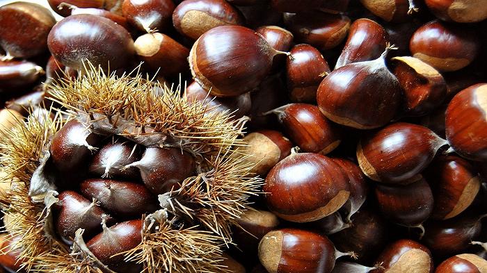 Castagne: raccolto in crescita del 20% per quelle italiane