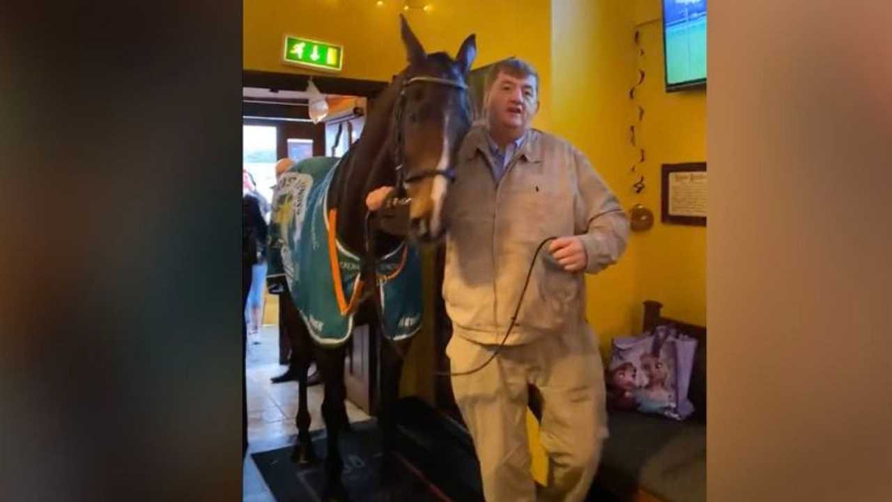 Irlanda: fa sfilare un cavallo da corsa in un pub per festeggiare una vittoria, ma la PETA insorge