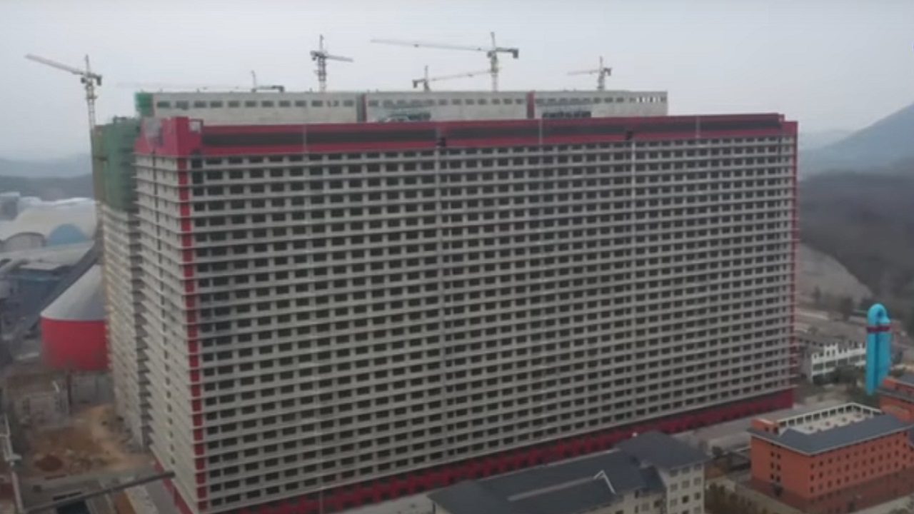 Allevamenti: in Cina si sta costruendo un “hotel per maiali” di 26 piani