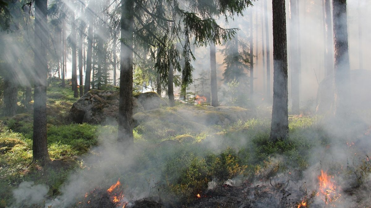 incendio