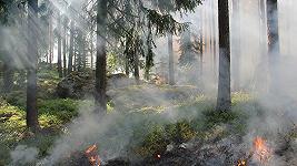 Incendi boschivi: per l’Europa il 2021 è stato il secondo anno peggiore di sempre