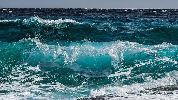 Pesca, nel Mediterraneo è crisi: più di 30 specie sono a rischio estinzione