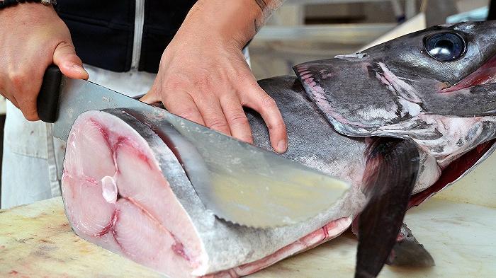 Viareggio, controlli della Guardia Costiera sui pescherecci: sequestrato un quintale di pesce spada