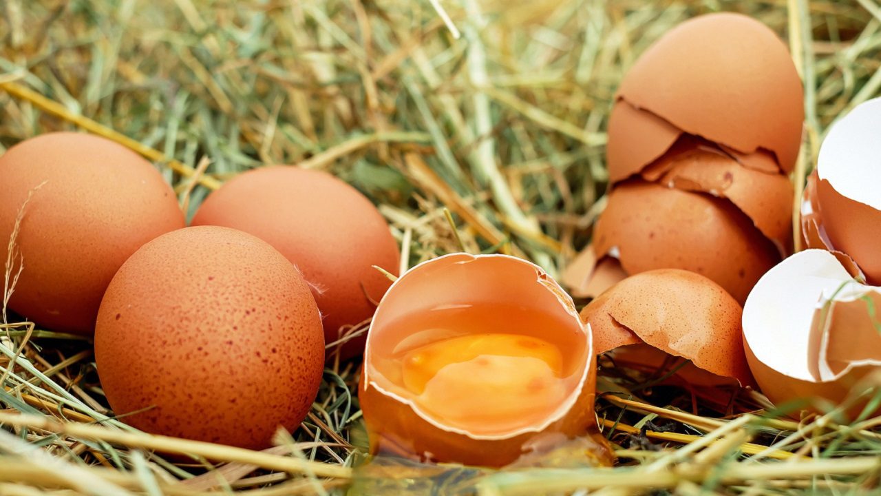 UK: i supermercati razionano gli acquisti di uova