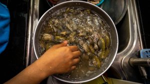 vongole a lavare in una ciotola piena d'acqua