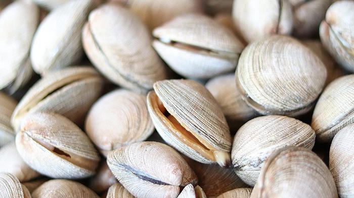 Altro che inflazione: il prezzo delle vongole cresce del 60% a causa del granchio blu