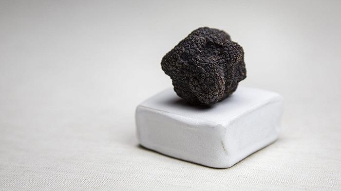 Ugo Alciati lancia “Tartufo Regale”, il tartufo d’Alba di cioccolato