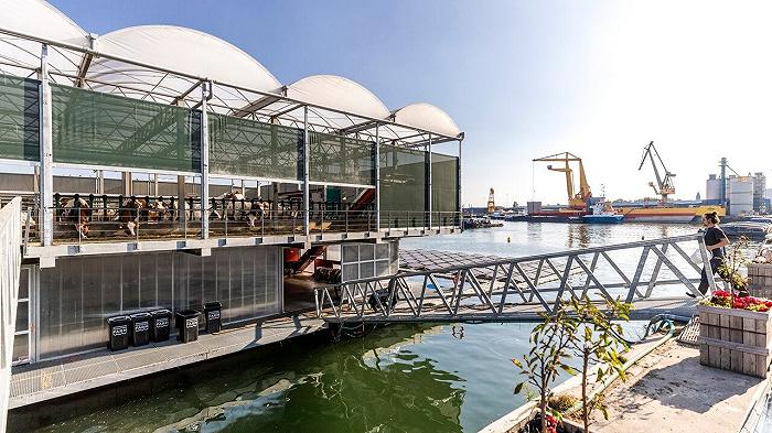 Allevamento di mucche… Su una barca? La nuova frontiera dell’agricoltura arriva dall’Olanda