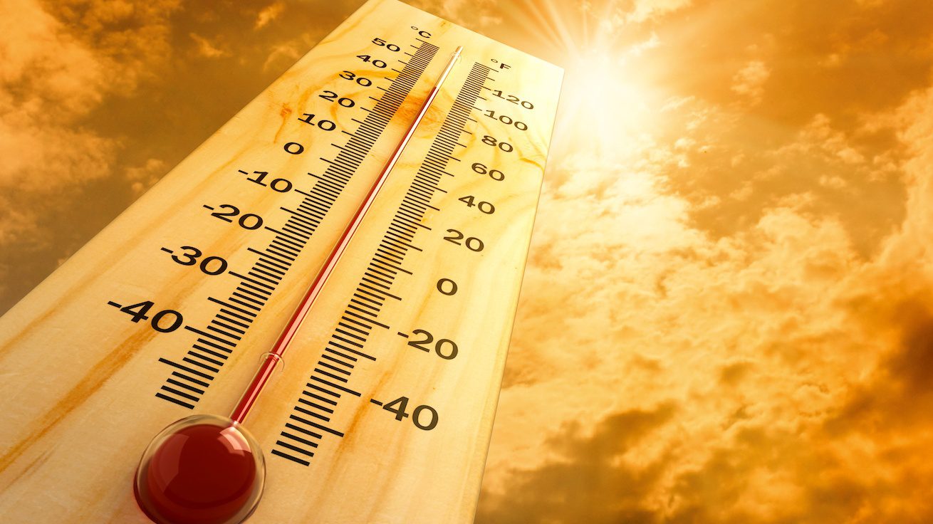 caldo