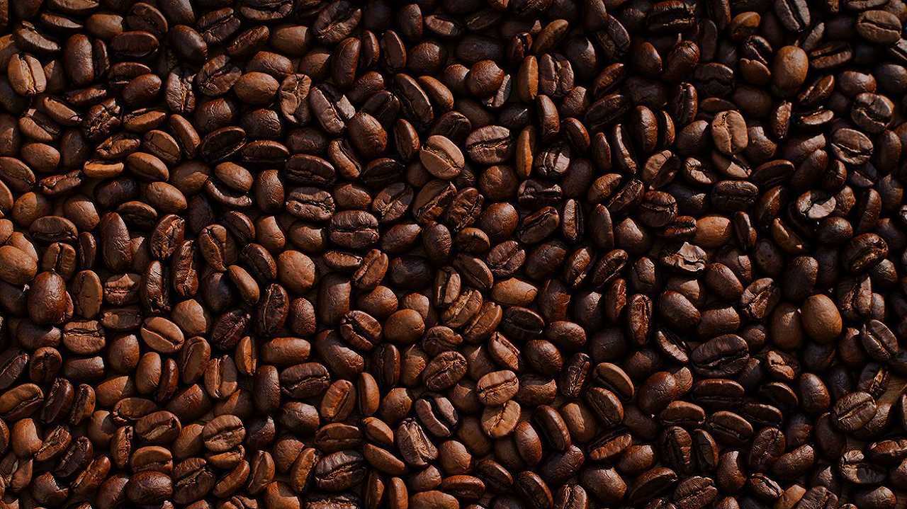 Caffè, in Uganda la siccità sta strozzando le esportazioni