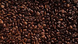 Caffè, in Uganda la siccità sta strozzando le esportazioni