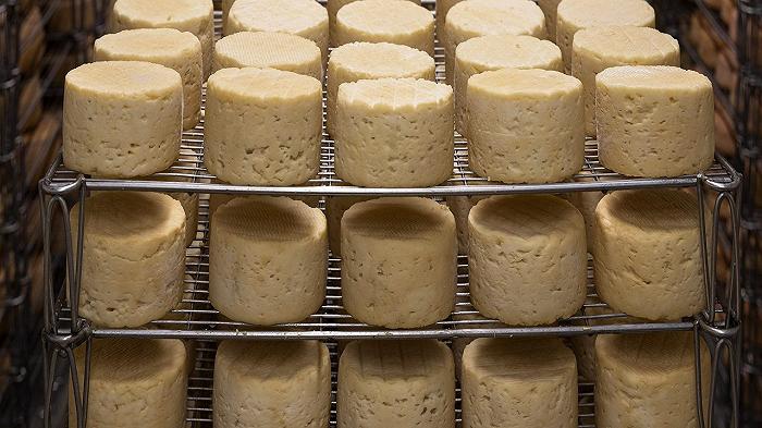 Brillo di Treviso di Accademia del Formaggio: richiamo per rischio microbiologico