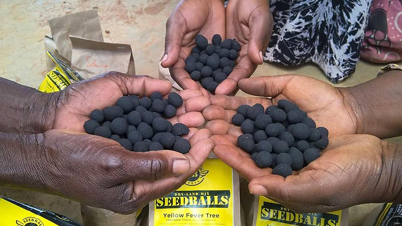 Kenya, un ambientalista crea le “bombe” di semi per combattere la siccità