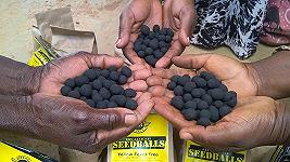 Kenya, un ambientalista crea le “bombe” di semi per combattere la siccità