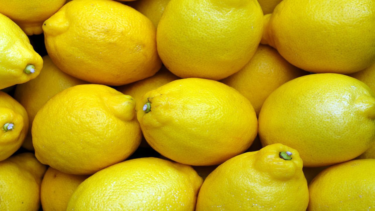 L’inizio della raccolta dei limoni in Sicilia non promette bene: produzione dimezzata