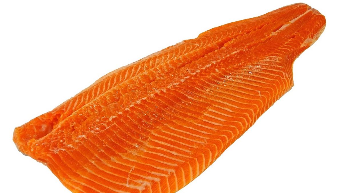 salmone