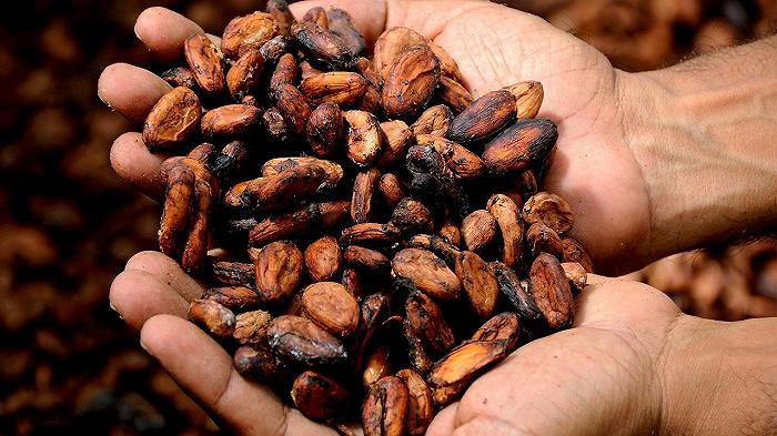 L’aumento dei prezzi del cacao ha superato anche il Bitcoin