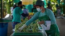 Fairtrade pubblica la Mappa dei Rischi umani e ambientali nelle catene di fornitura alimentare
