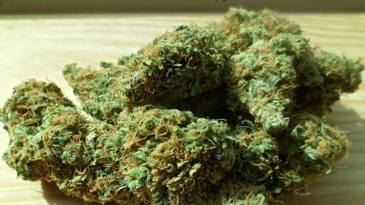 Negli USA il consumo giornaliero di cannabis ha superato quello di alcol