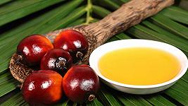 Olio di palma, la Malesia potrebbe interrompere l’export in risposta alle nuove regole europee