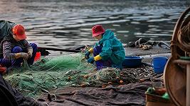 I figli dei pescatori non vogliono continuare l’attività di famiglia