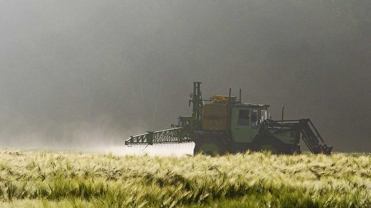 Pesticidi, l’Europarlamento è diviso sulla riduzione: “Indebolisce la sicurezza alimentare”