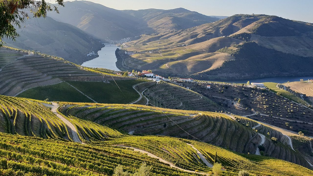 La Città Europea del Vino 2023 sarà un’intera regione: la Valle del Douro in Portogallo