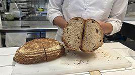 Pane con la farina di grilli: Prova d’assaggio