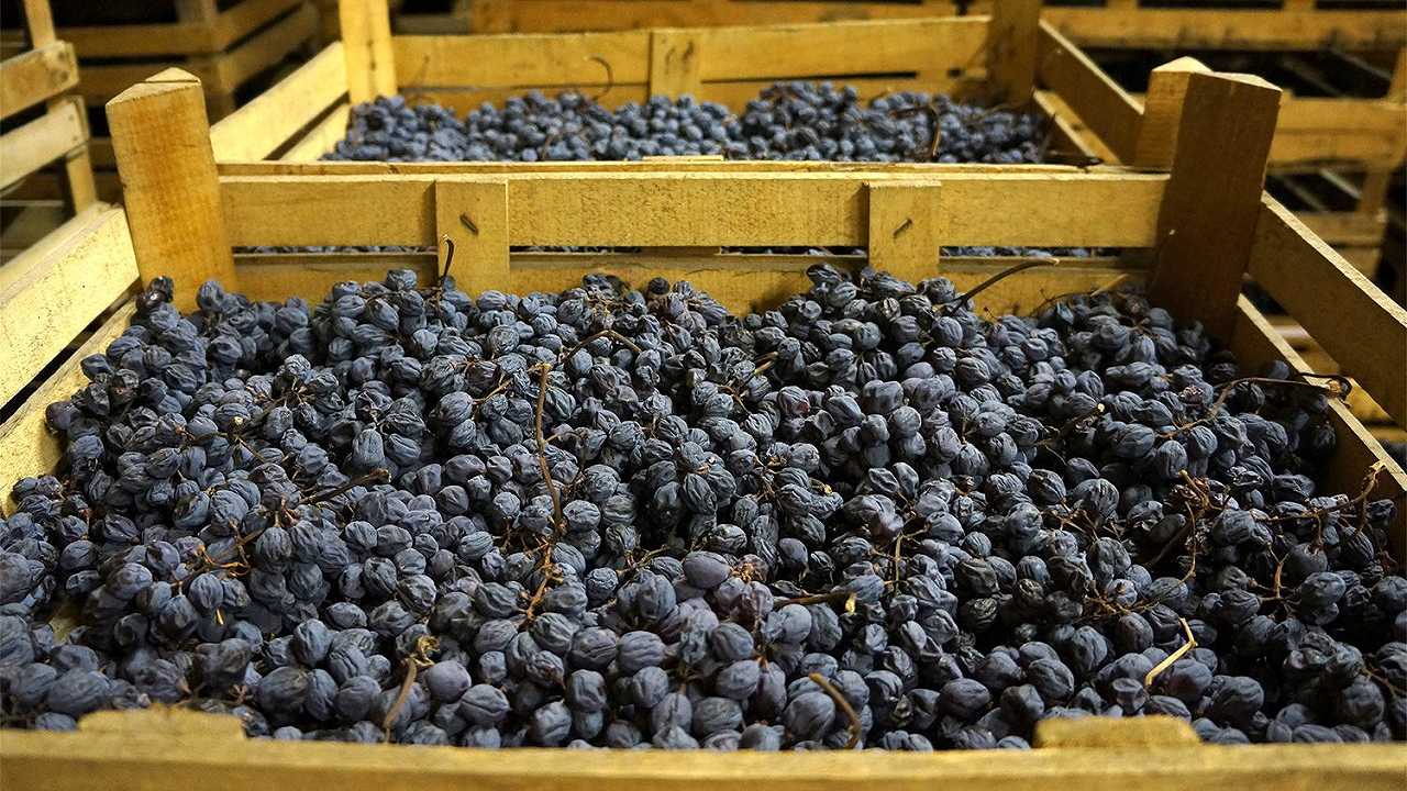 Valpolicella, messa a riposo delle uve a Patrimonio Unesco: il dossier è pronto