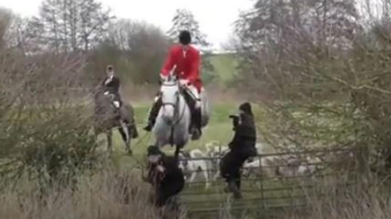 Animalista tenta di fermare un cacciatore a cavallo, e lui lo travolge