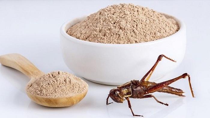 Nutrinsect è la prima azienda italiana che può produrre e vendere farina di grillo