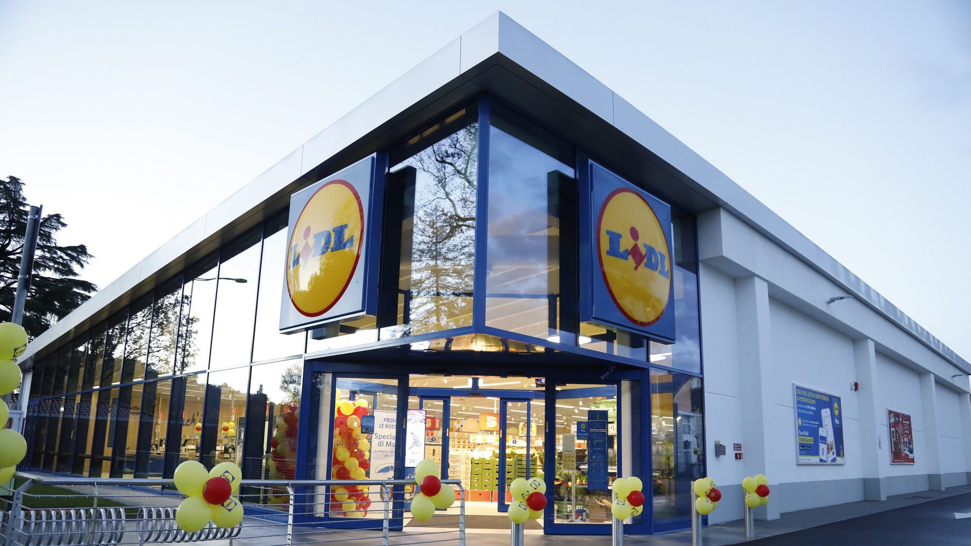 lidl